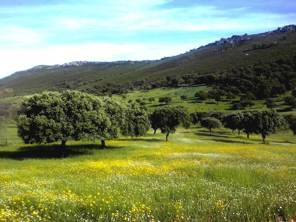 Casa Rural La Sierra De Monfraguee マルパルティダ・デ・プラセンシア エクステリア 写真